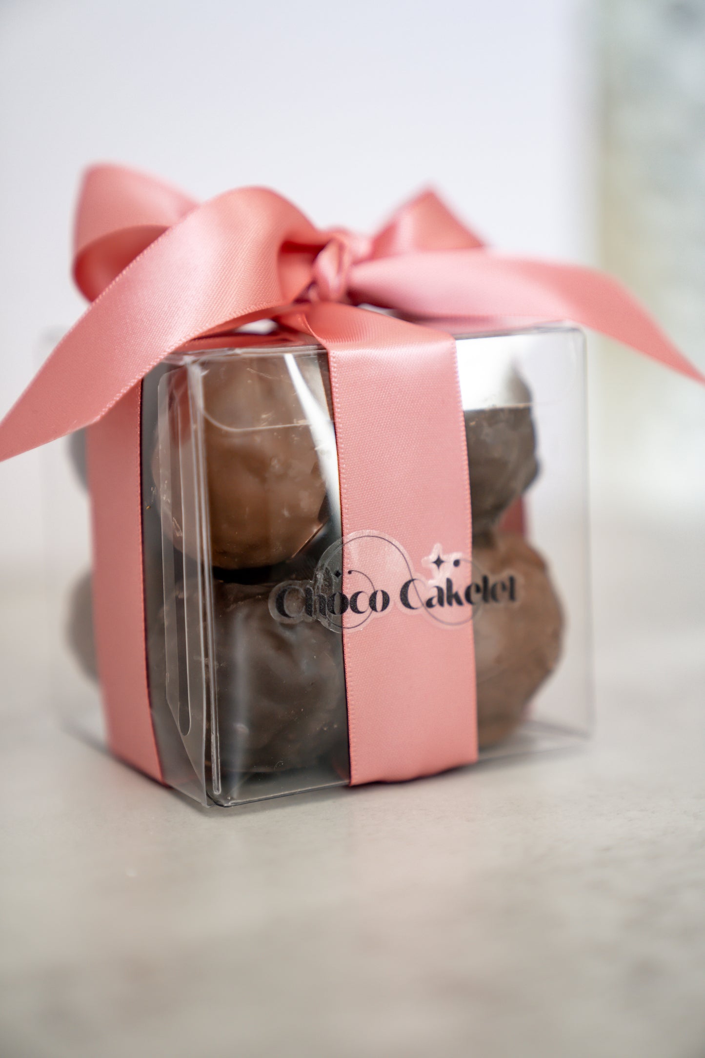 Rice Crispy Chocolate Covered
